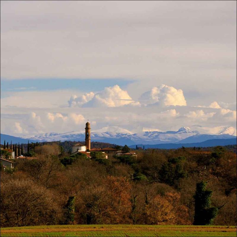 a cold winter morning.jpg